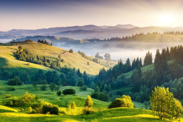 達成“雙碳”目標不只是“減碳”！(圖1)